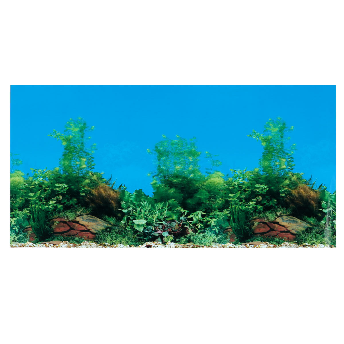 Aquarium Fish Wallpaper - Aquarium Background Decal Double Sided Wall