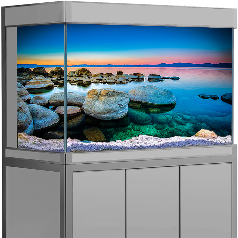 Aquarium Fish Wallpaper - Aquarium Background Sticker Stone Sea View