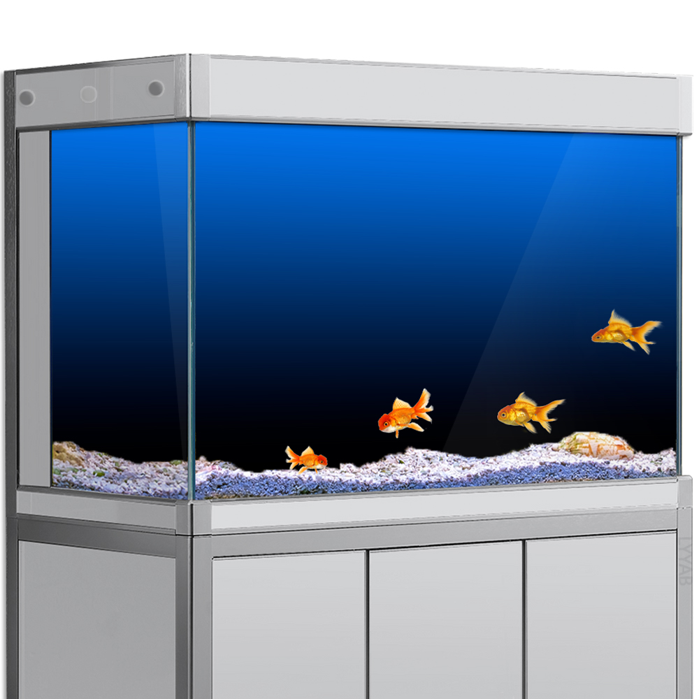 Aquarium Fish Wallpaper - Fish Tank Background Sticker Black Green