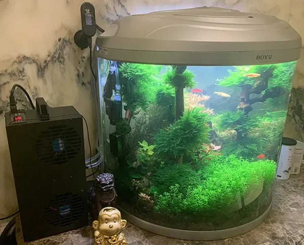 Constant Temperature Adjustabl - Aquarium Fish Small ulasan dan harga