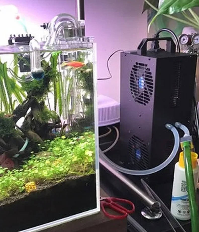 Constant Temperature Adjustabl - Aquarium Fish Small ulasan dan harga