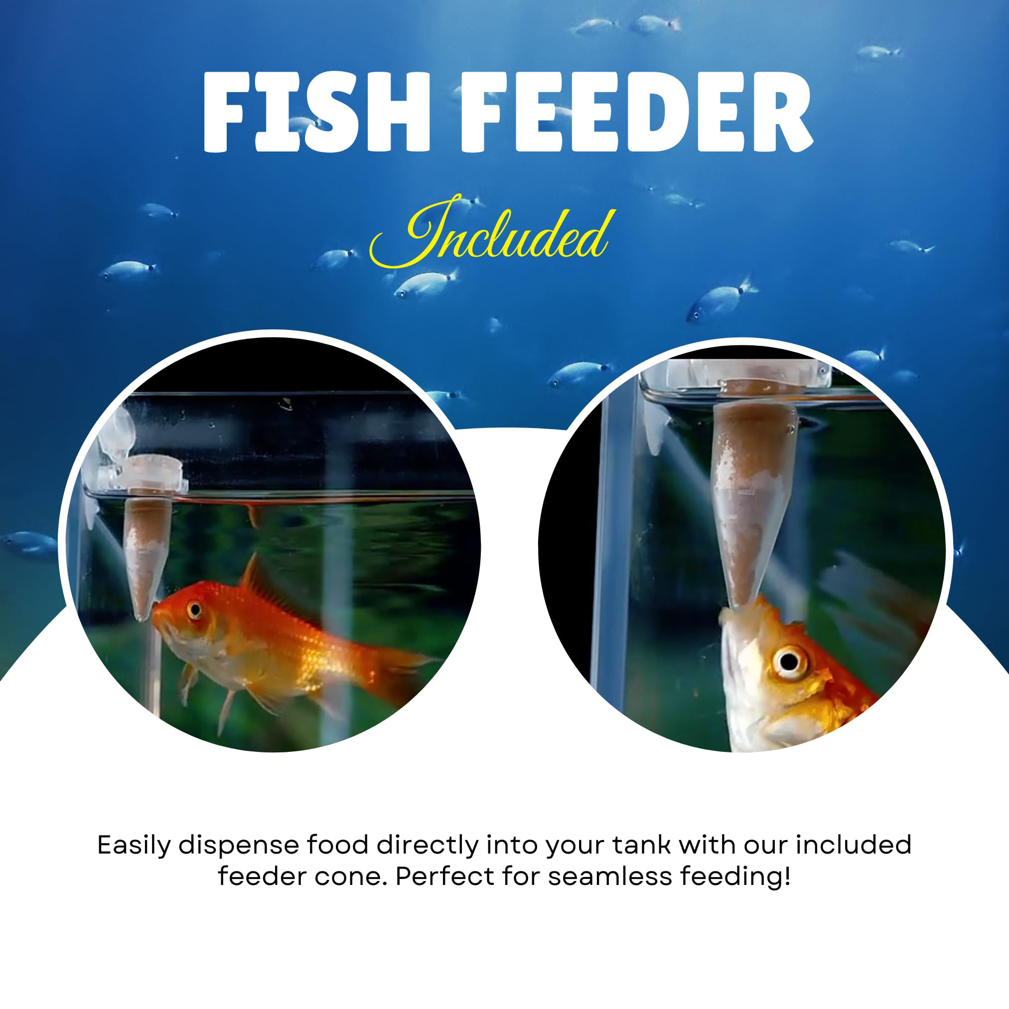 Complete Brine Shrimp Eggs & F - Aquarium Fish Holiday Food ulasan dan harga