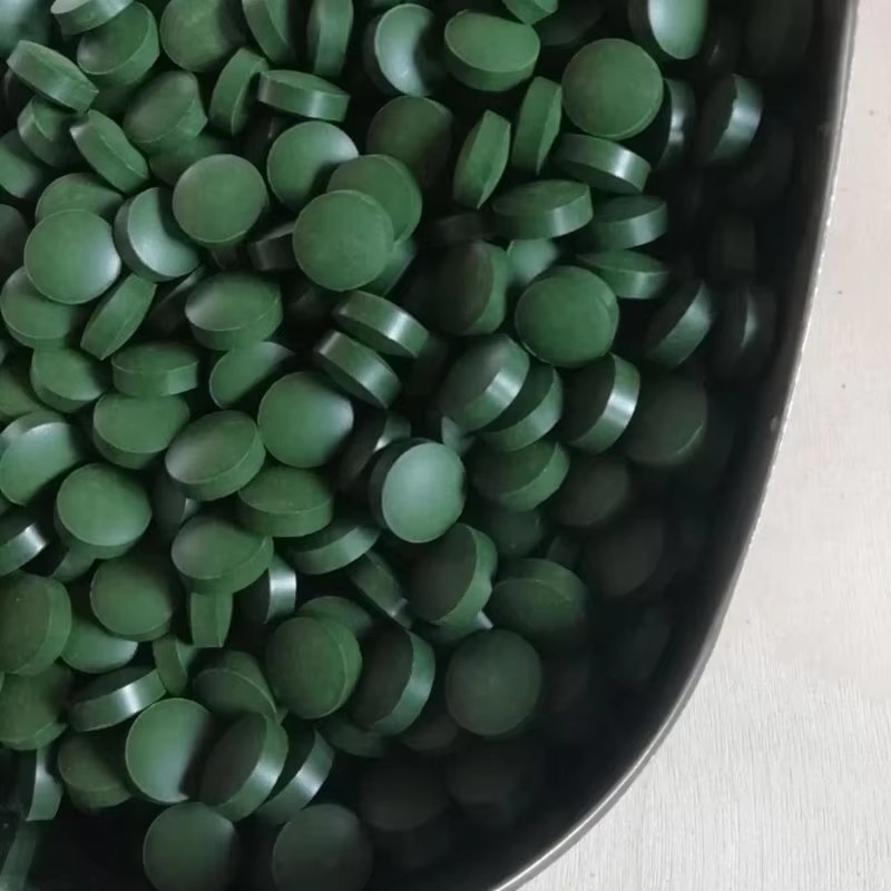 100-3000pc High Purity Spiruli - Aquarium Fish Holiday Food ulasan dan harga