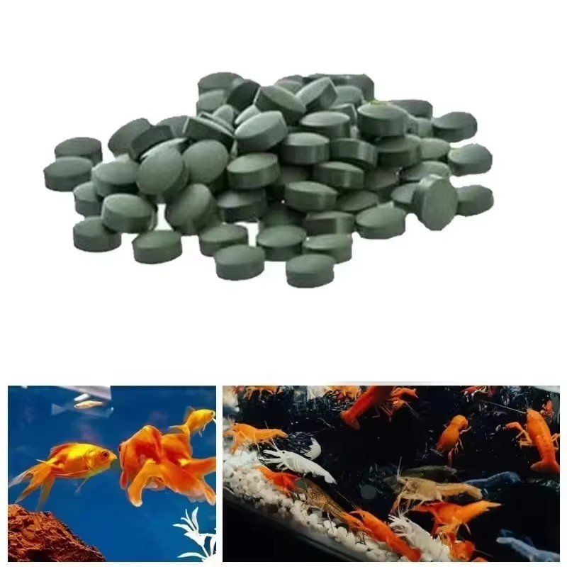 100-3000pcs High Purity Spirul - Aquarium Fish Holiday Food ulasan dan harga