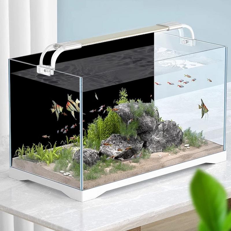 Aquarium Wallpaper Black Aquar - Aquarium Fish Wallpaper ulasan dan harga