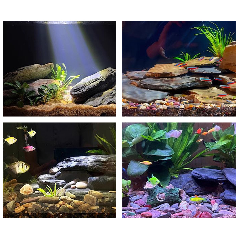 500/1000g Fish Tank Landscape  - Fish Aquarium Home ulasan dan harga