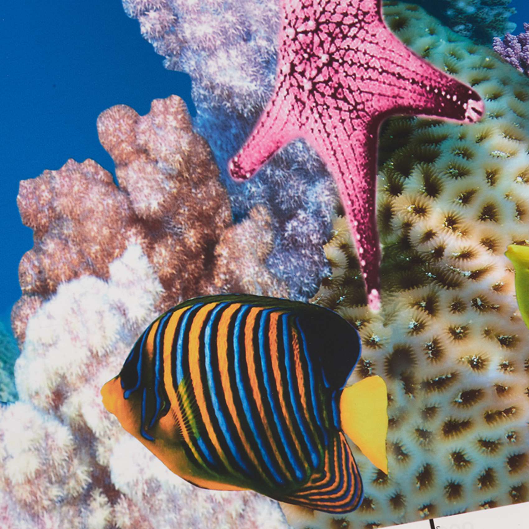 ABWR-Aquarium Background Paper - Aquarium Fish Wallpaper ulasan dan harga
