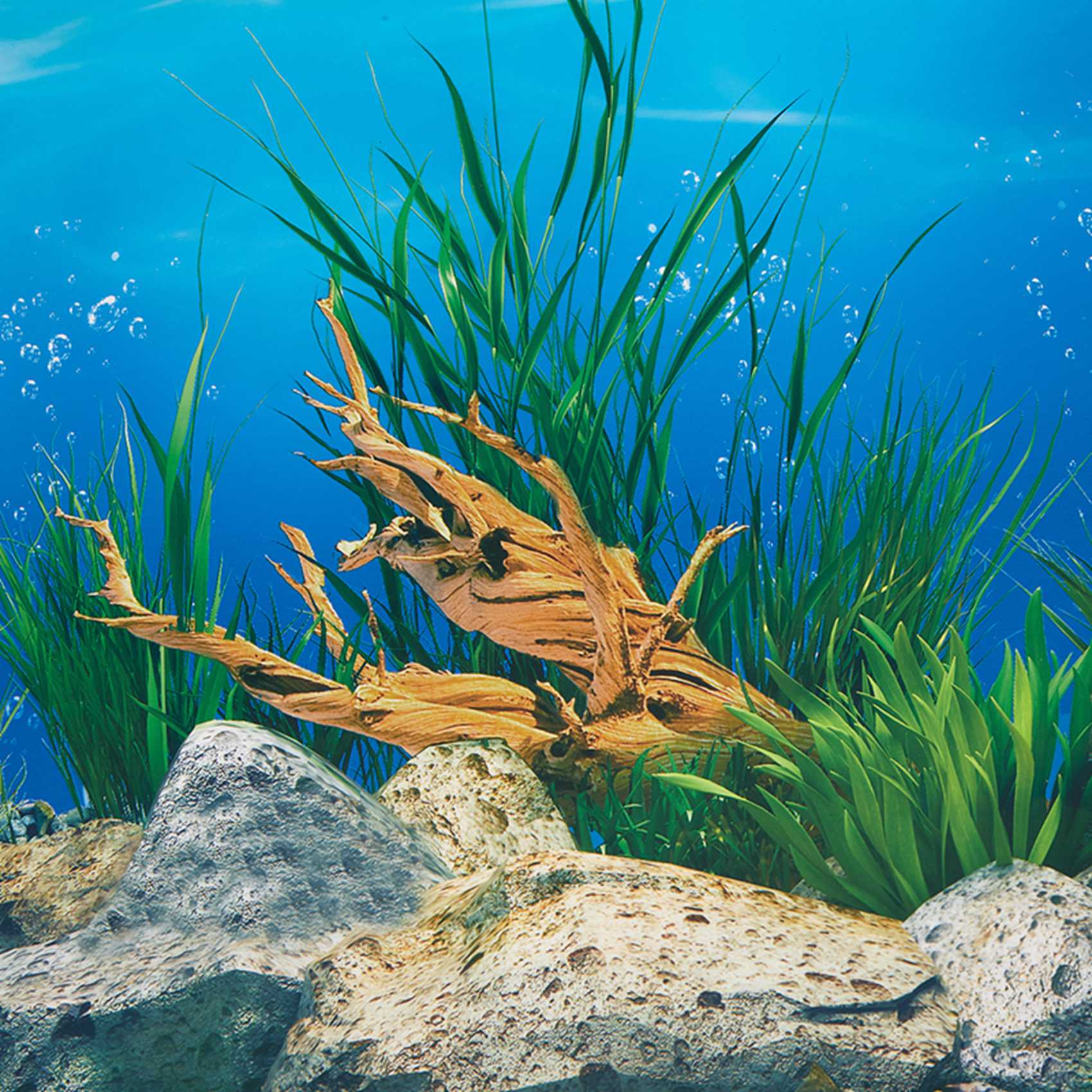 ABWR-Aquarium Background Paper - Aquarium Fish Wallpaper ulasan dan harga