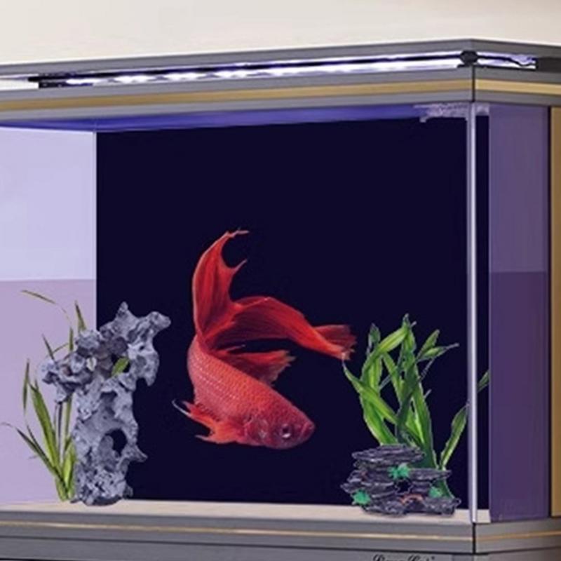 Black Aquarium Background Wall - Aquarium Fish Wallpaper ulasan dan harga