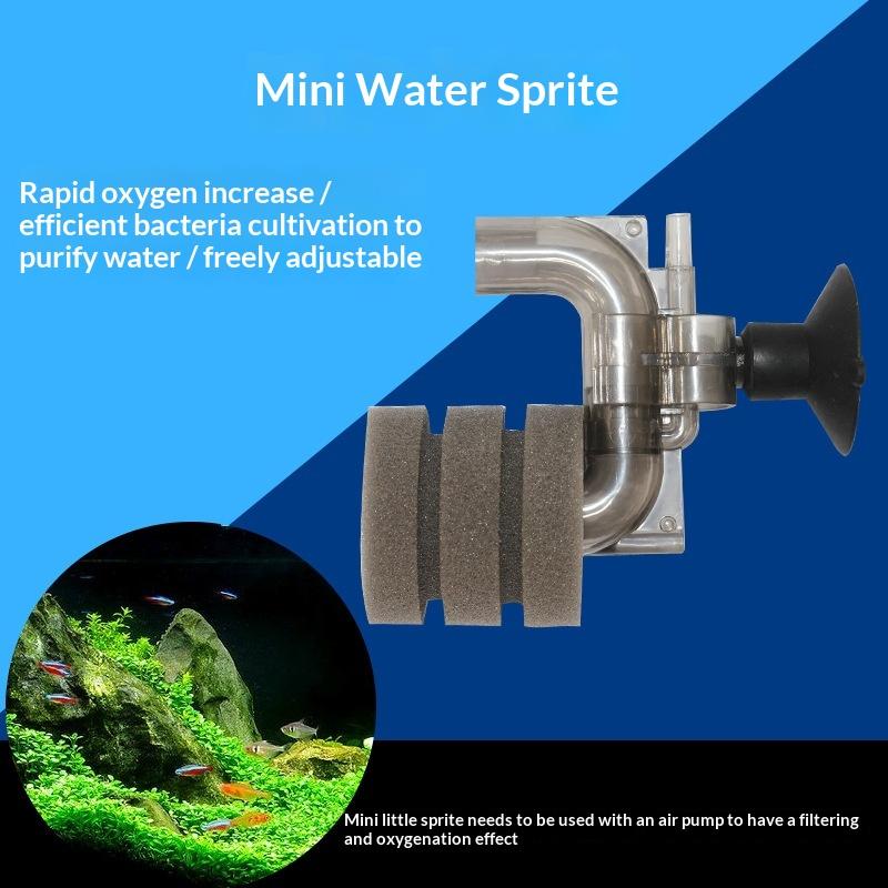 .Hot Sale-Mini Aquarium Sponge - Aquarium Fish For Sale ulasan dan harga