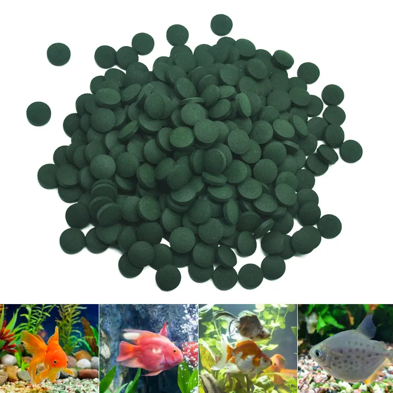 100pcs High Purity Spirulina T - Aquarium Fish Holiday Food ulasan dan harga