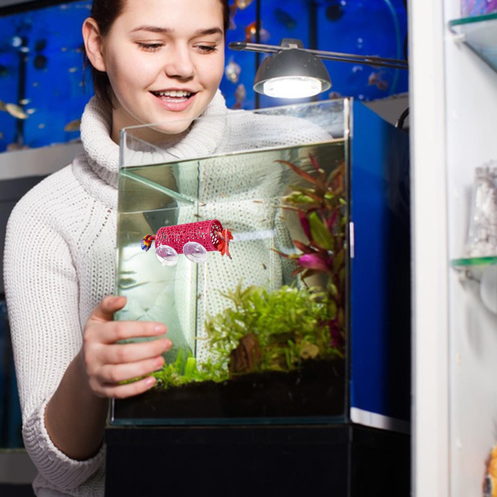 Betta Habitat Resting Shelter  - Aquarium Fish Small ulasan dan harga