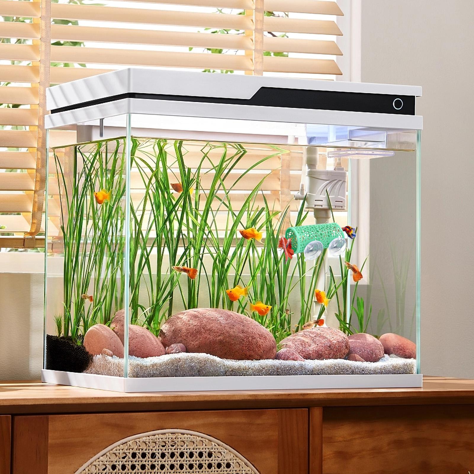 Betta Habitat Resting Shelter  - Aquarium Fish Small ulasan dan harga