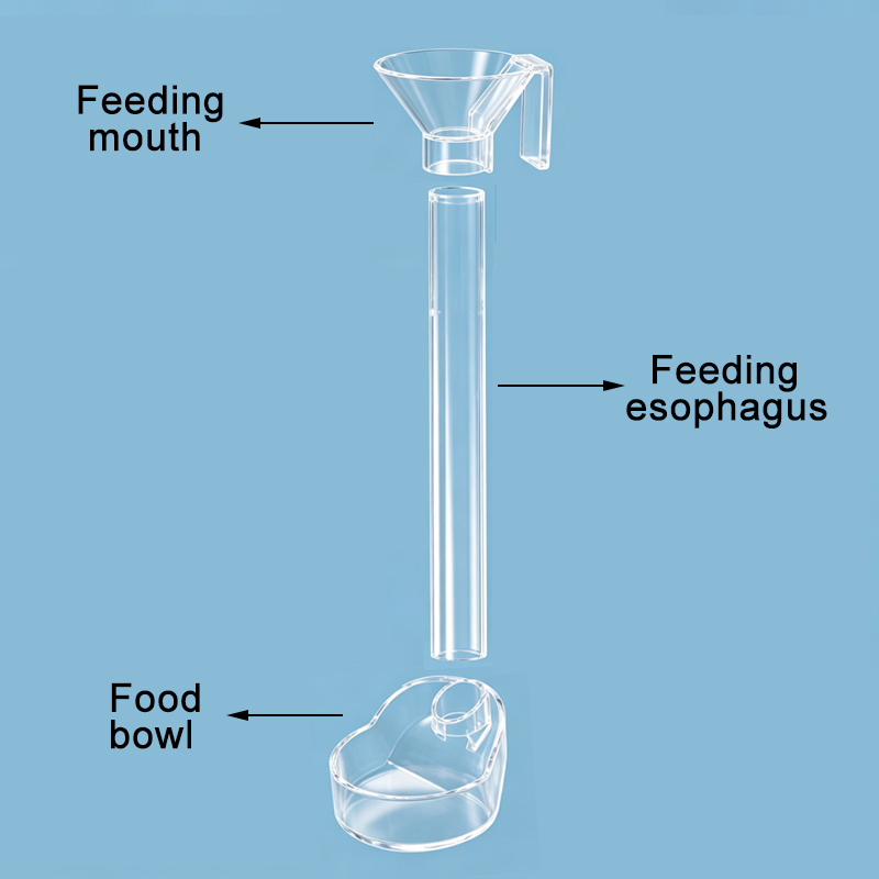 Acrylic Aquarium Fish Feeder T - Aquarium Fish Holiday Food ulasan dan harga