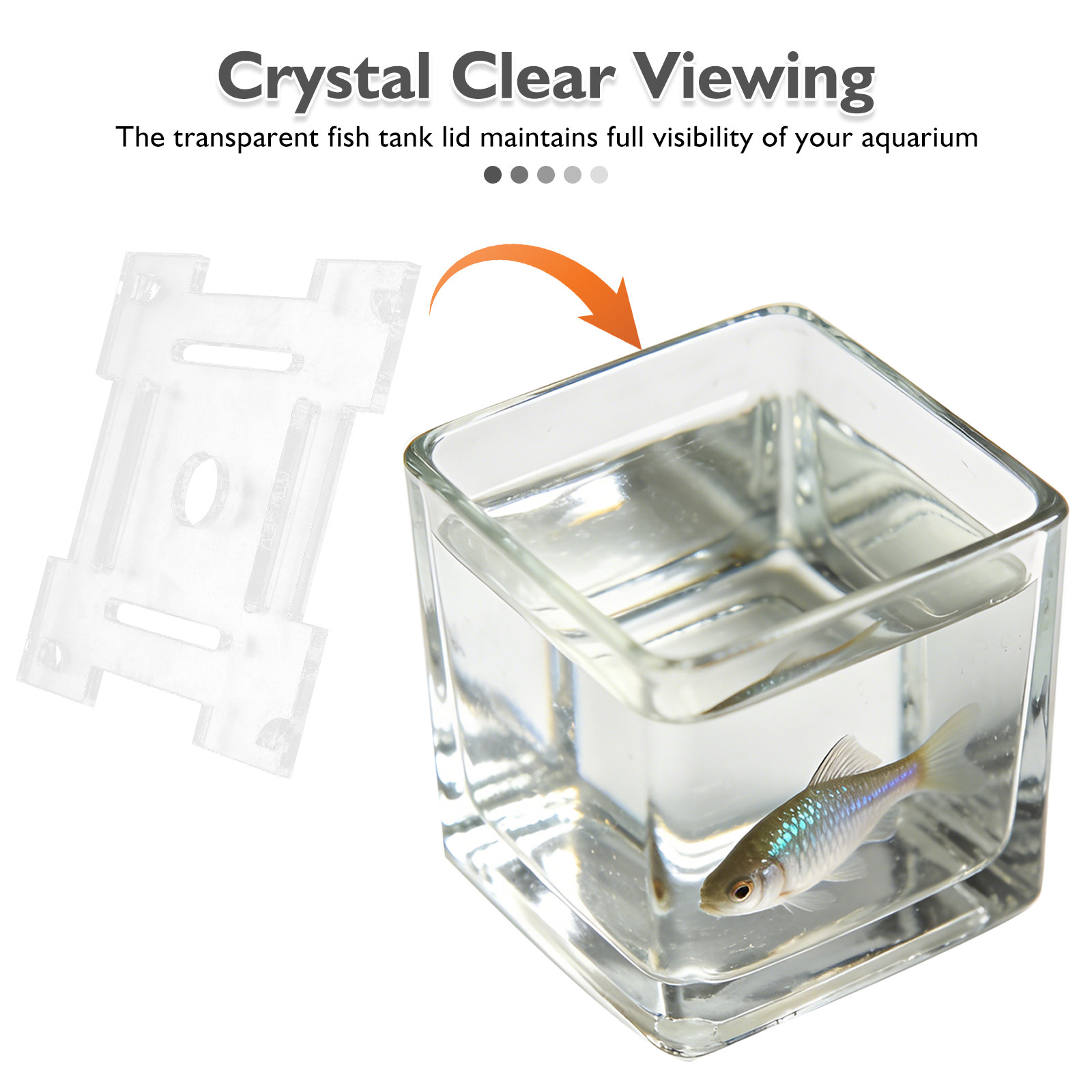Transparent Acrylic Aquarium A - Aquarium Fish Jump Guard ulasan dan harga