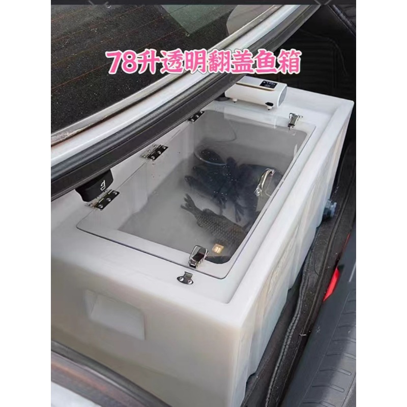 Car-mounted live fish box, thi - Aquarium Fish Small ulasan dan harga