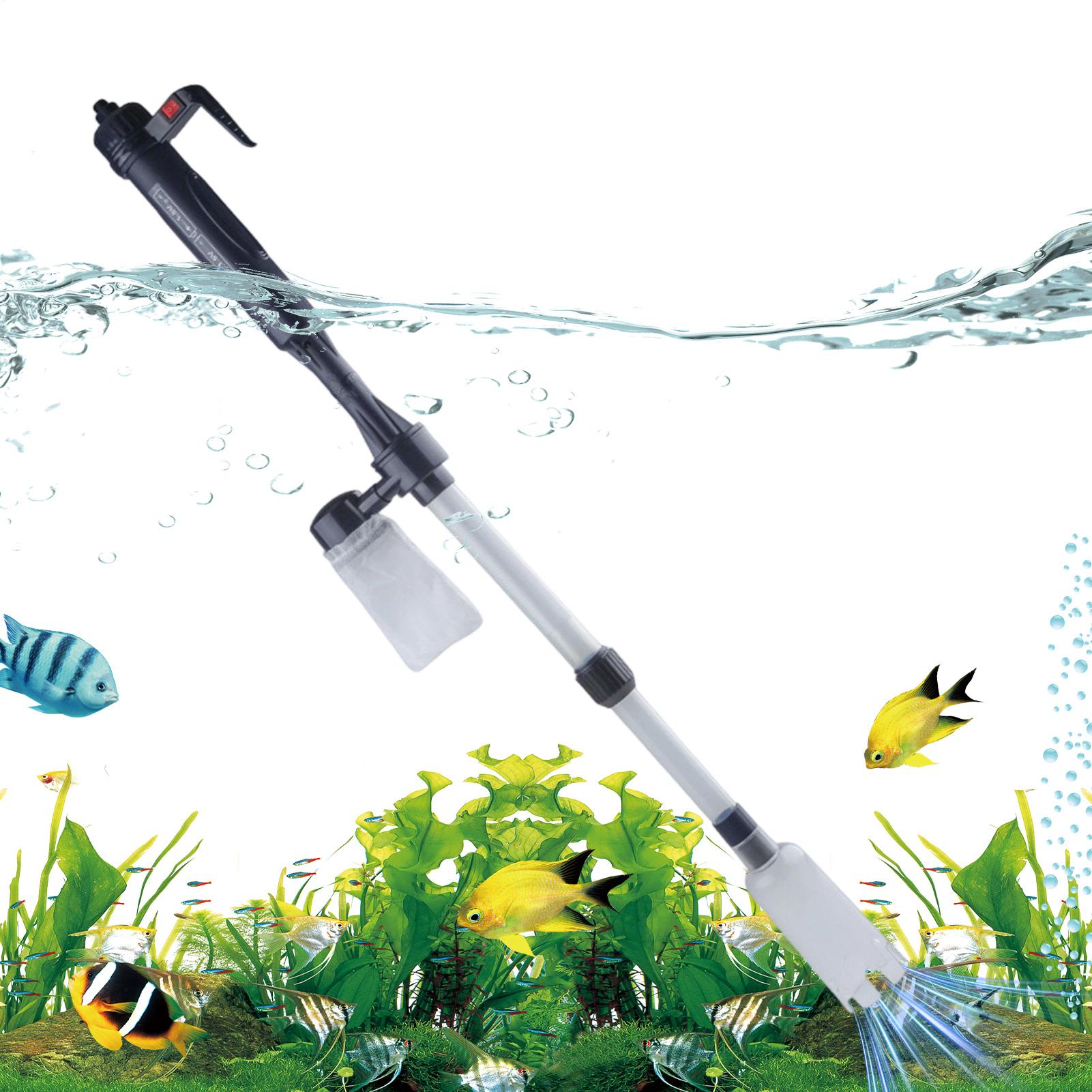 hot sale Aquarium Vacuum Elect - Aquarium Fish For Sale ulasan dan harga