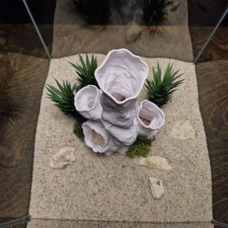 Hot Sale 3D Printed Coral Tunn - Aquarium Fish For Sale ulasan dan harga