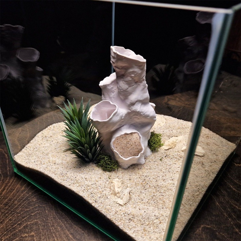 Hot Sale 3D Printed Coral Tunn - Aquarium Fish For Sale ulasan dan harga