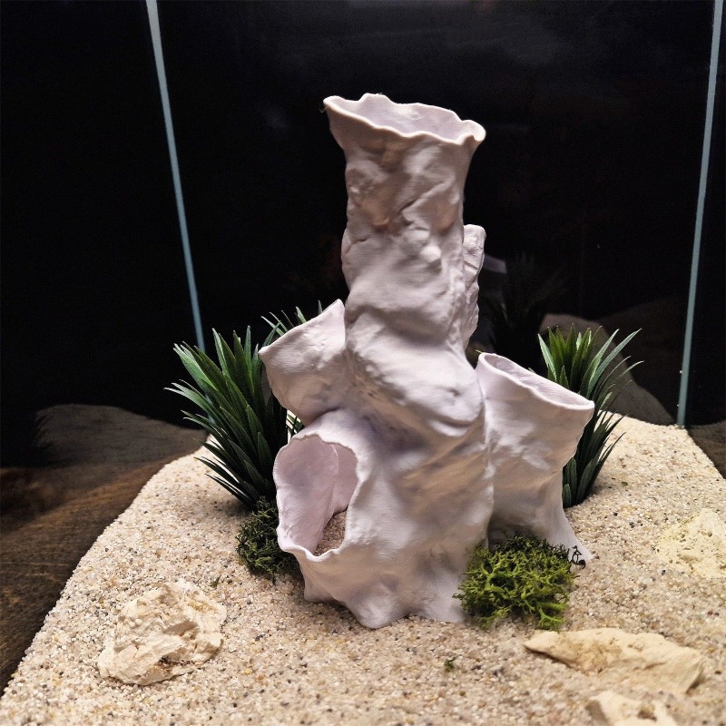 Hot Sale 3D Printed Coral Tunn - Aquarium Fish For Sale ulasan dan harga