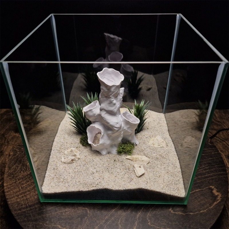Hot Sale 3D Printed Coral Tunn - Aquarium Fish For Sale ulasan dan harga