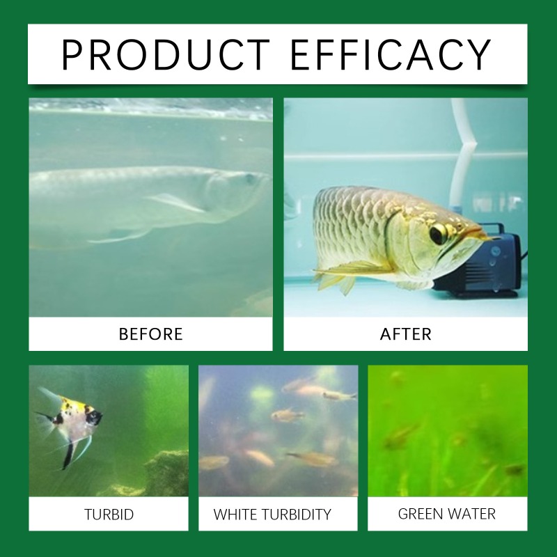 Fish Tank Water Purification T - Aquarium Fish Long ulasan dan harga