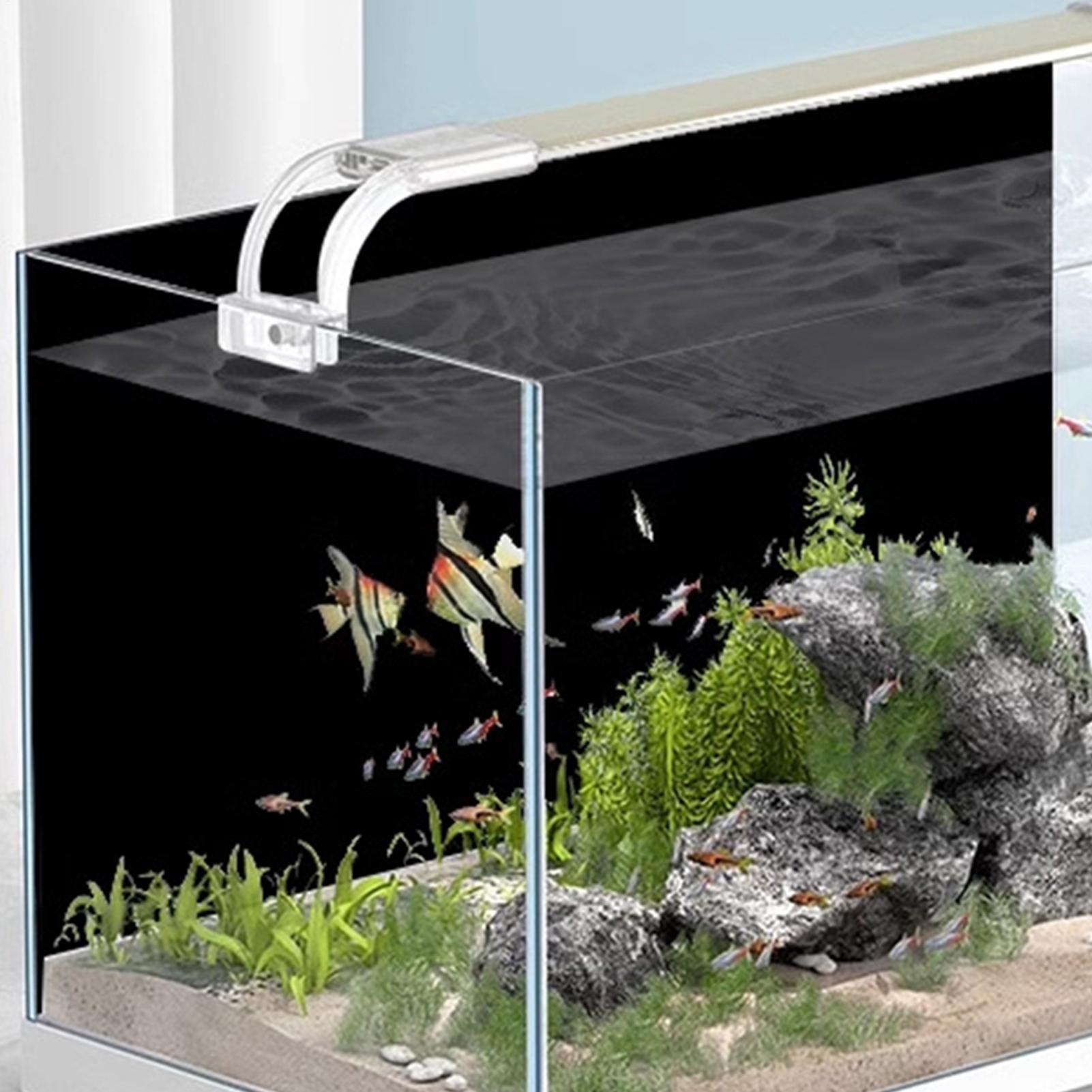 Fish Tank Background Static Cl - Aquarium Fish Wallpaper ulasan dan harga