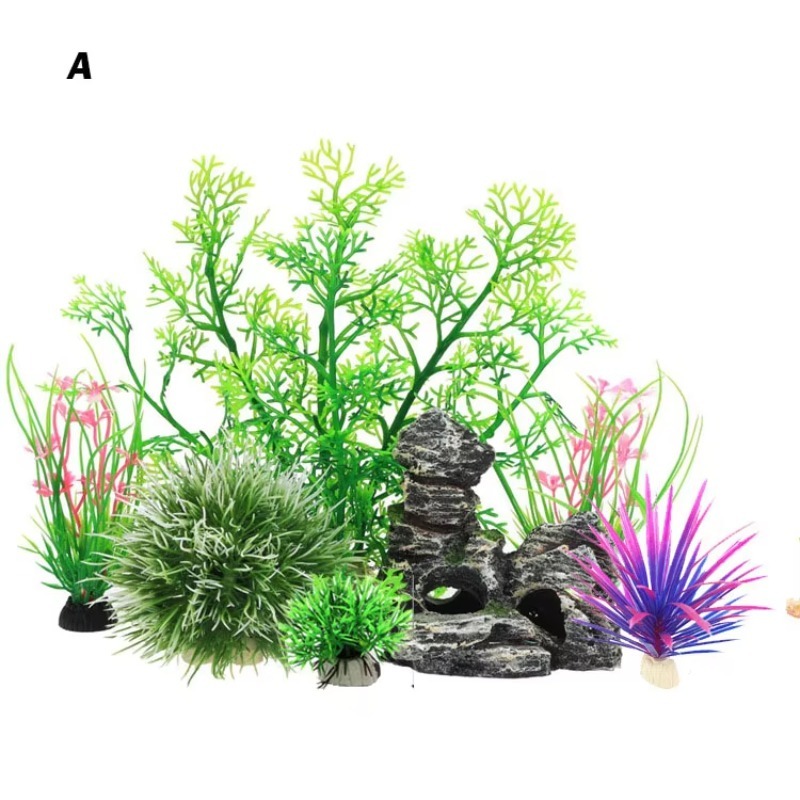 10pcs Hot Selling New Arrival  - Aquarium Fish For Sale ulasan dan harga