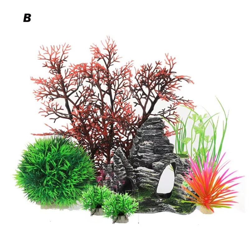 10pcs Hot Selling New Arrival  - Aquarium Fish For Sale ulasan dan harga