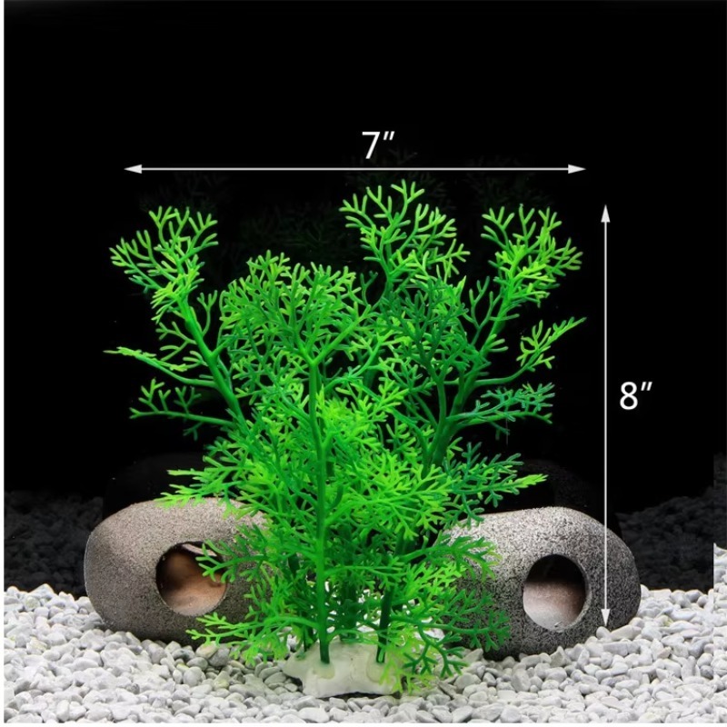 10pcs Hot Selling New Arrival  - Aquarium Fish For Sale ulasan dan harga