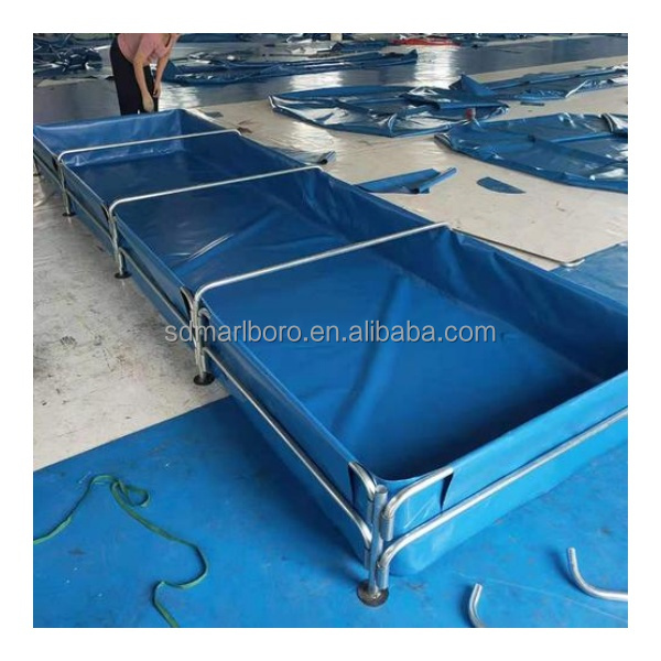 AIROW Custom Commercial High Q - Aquarium Fish For Sale ulasan dan harga