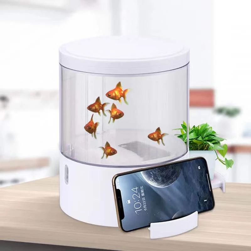 Round colorful lights desktop  - Aquarium Fish For Sale ulasan dan harga