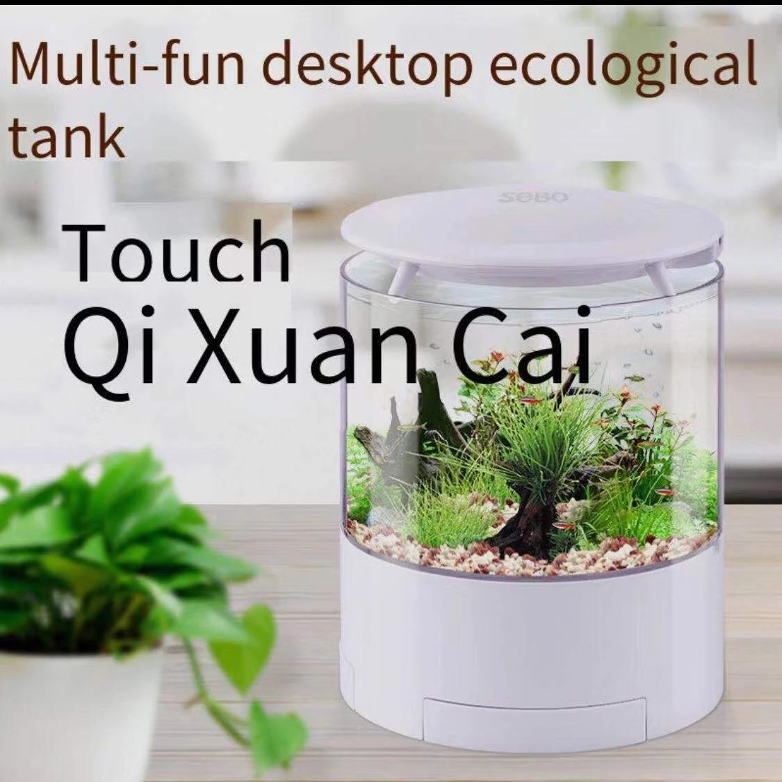 Round colorful lights desktop  - Aquarium Fish For Sale ulasan dan harga