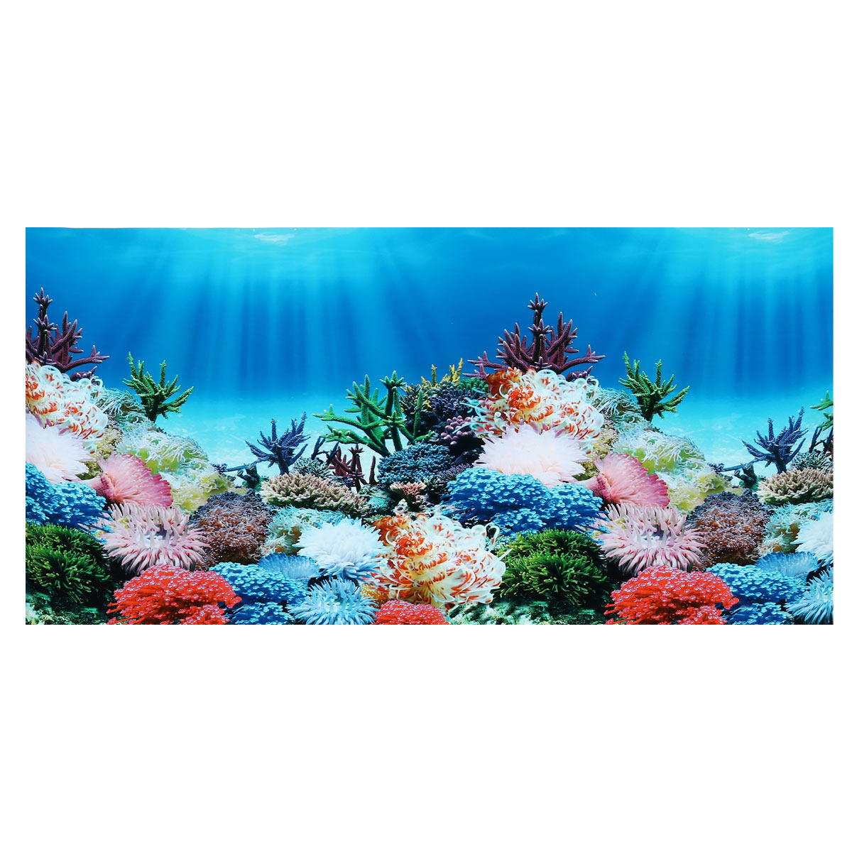 Aquarium Background Decal Doub - Aquarium Fish Wallpaper ulasan dan harga