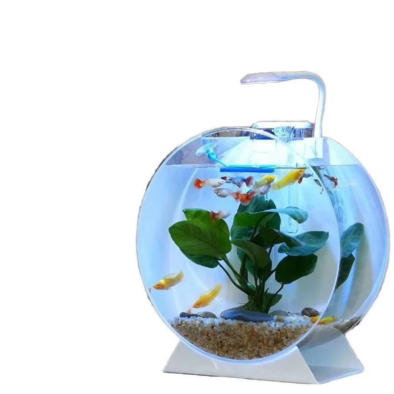 Hot Sale Modern Eco-Friendly A - Aquarium Fish For Sale ulasan dan harga