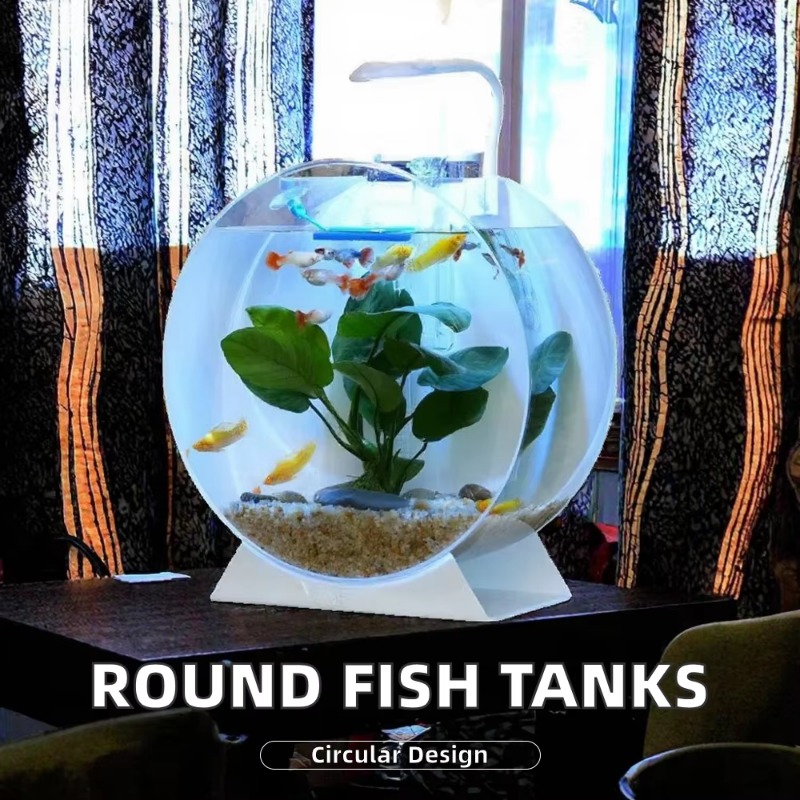 Hot Sale Modern Eco-Friendly A - Aquarium Fish For Sale ulasan dan harga