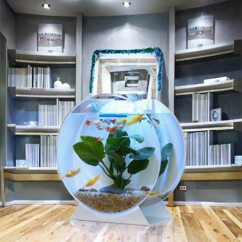 Hot Sale Modern Eco-Friendly A - Aquarium Fish For Sale ulasan dan harga