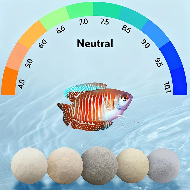 100-500g Fish Tank Filter Ball - Aquarium Fish Keeping ulasan dan harga