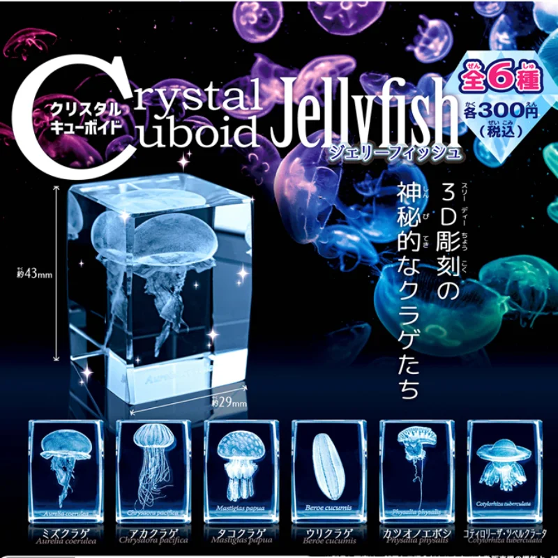 Japan Gashapon Jellyfish 3D Cr - Aquarium Fish Keeping ulasan dan harga