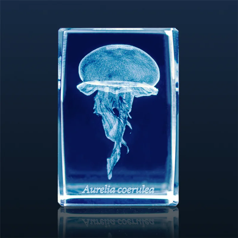 Japan Gashapon Jellyfish 3D Cr - Aquarium Fish Keeping ulasan dan harga