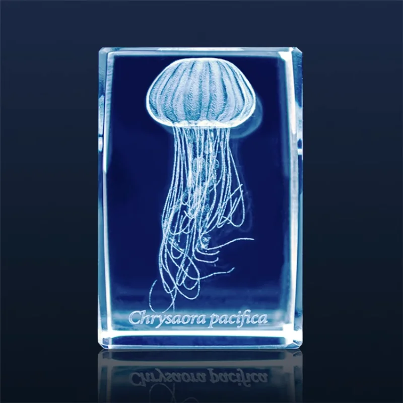 Japan Gashapon Jellyfish 3D Cr - Aquarium Fish Keeping ulasan dan harga