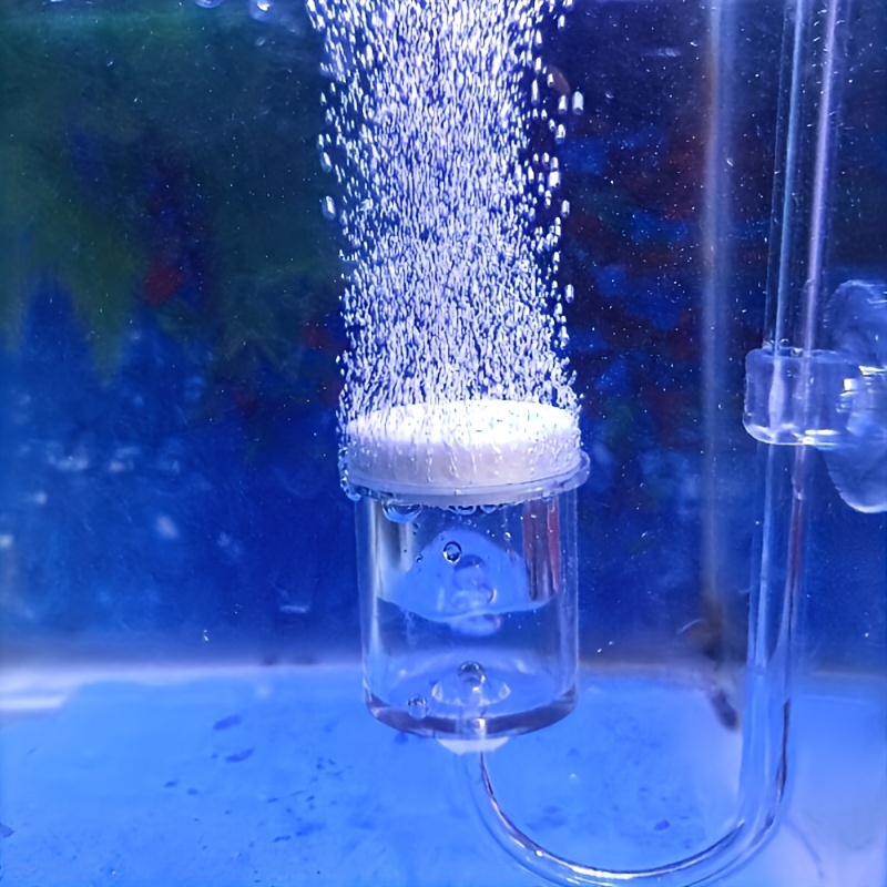 Aquarium Glass CO2 Atomizer Di - Aquarium Fish Quarantine ulasan dan harga