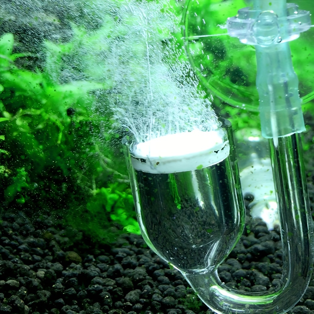 Aquarium Glass CO2 Atomizer Di - Aquarium Fish Quarantine ulasan dan harga