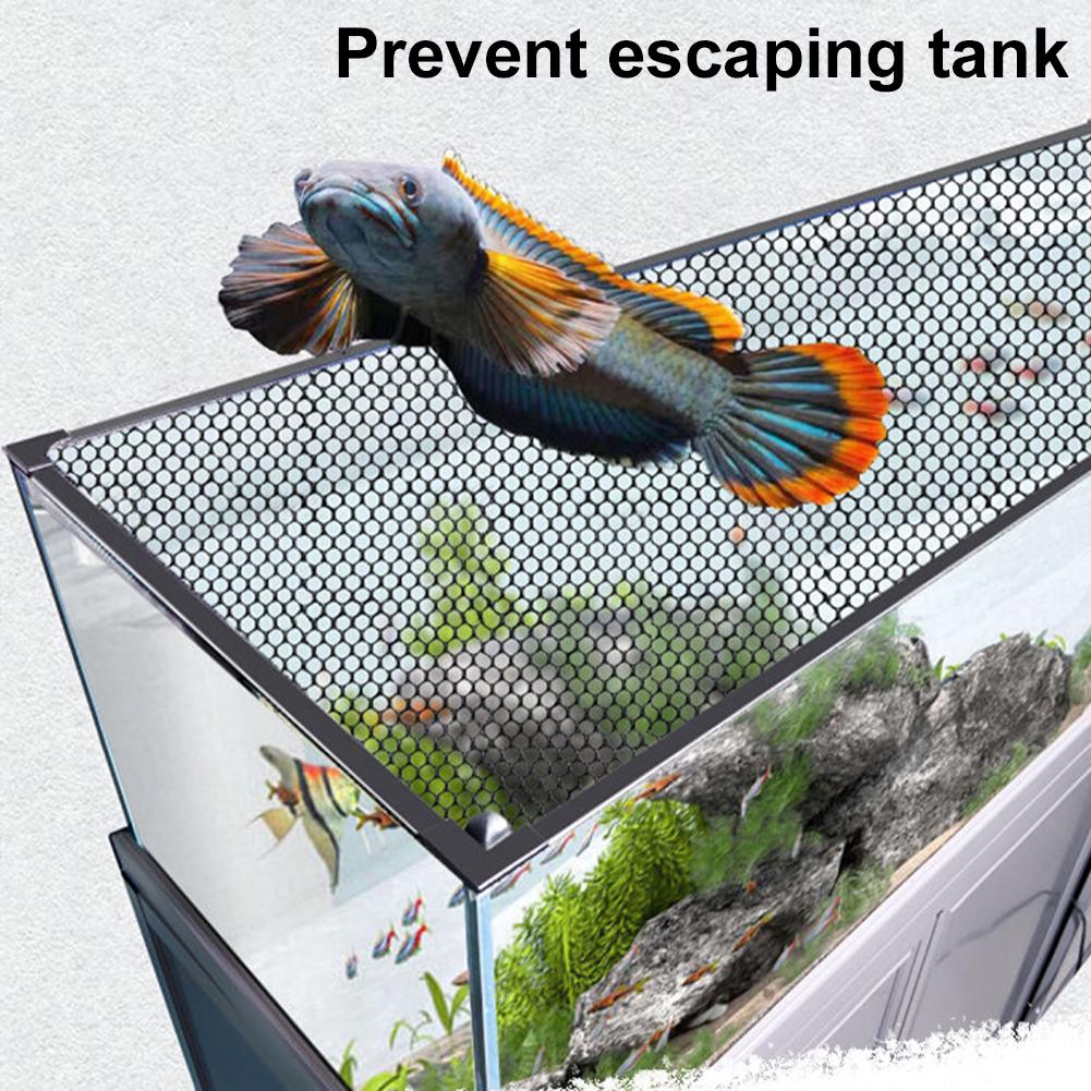 Magnetic Aquarium Cover Screen - Aquarium Fish Jump Guard ulasan dan harga