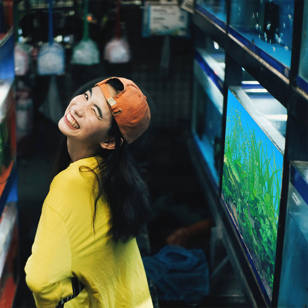 Fish Tank Background Paper Thi - Aquarium Fish Wallpaper ulasan dan harga