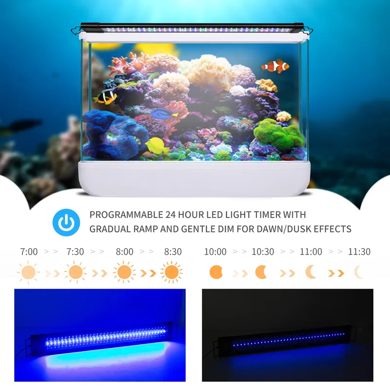 LED Programmable Aquarium Ligh - Aquarium Fish Lamp ulasan dan harga