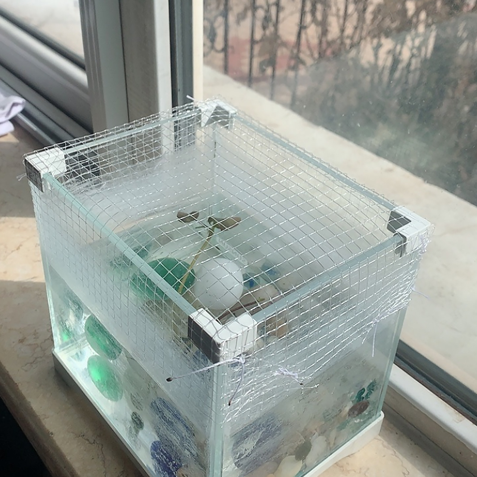 Clear Aquarium Mesh Netting DI - Tank Divider Mesh ulasan dan harga