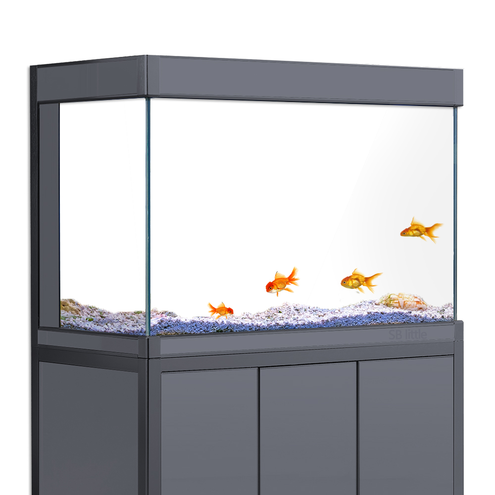 Aquarium Background Static Cli - Aquarium Fish Wallpaper ulasan dan harga