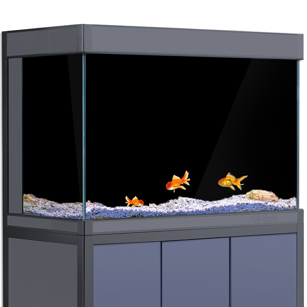 Aquarium Background Static Cli - Aquarium Fish Wallpaper ulasan dan harga