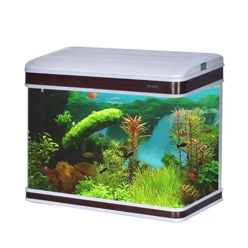 Professional Aquarium Supplier - Aquarium Fish Supplier ulasan dan harga